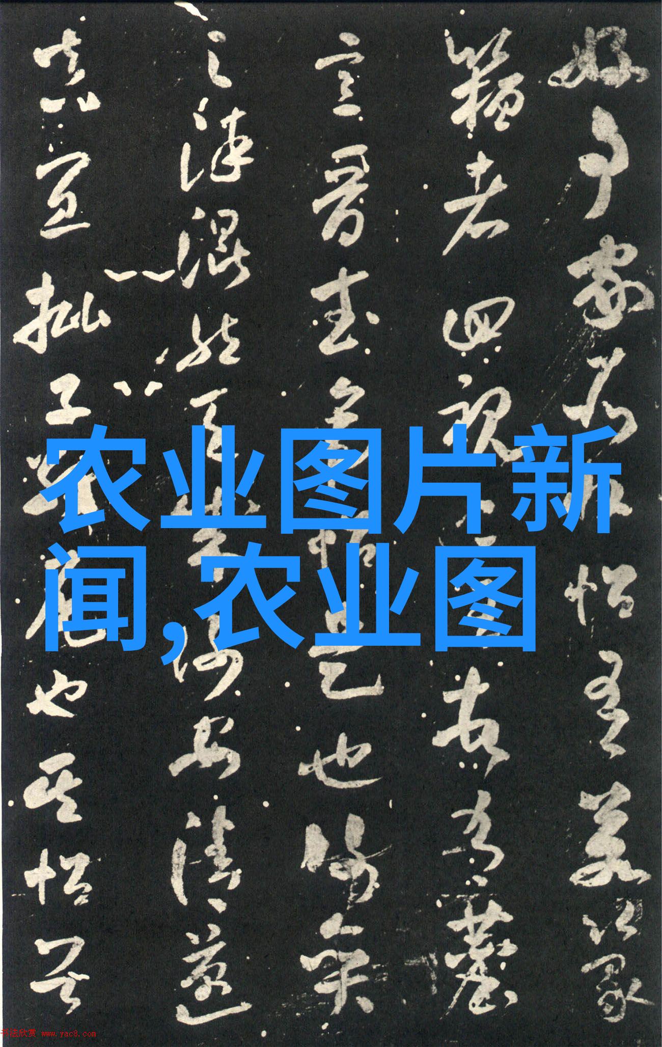 无土水培蔬菜种植新潮流让你的室内空间充满绿意