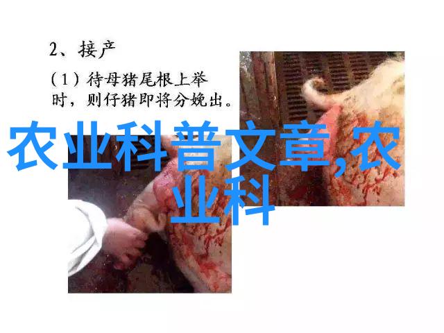 猪饲料配制的基本原则