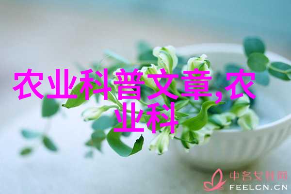 着迷阿司匹林超现实的故事揭开心灵深处的秘密
