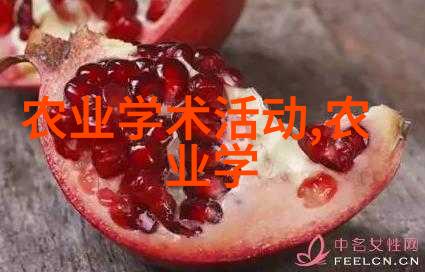 民法典2021全文赋能新时代河南省南阳市龙王沟景区引领羊肚菌种植潮栽培出金钱的花园
