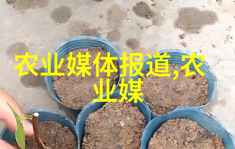 气蒸云梦泽探索天地之美