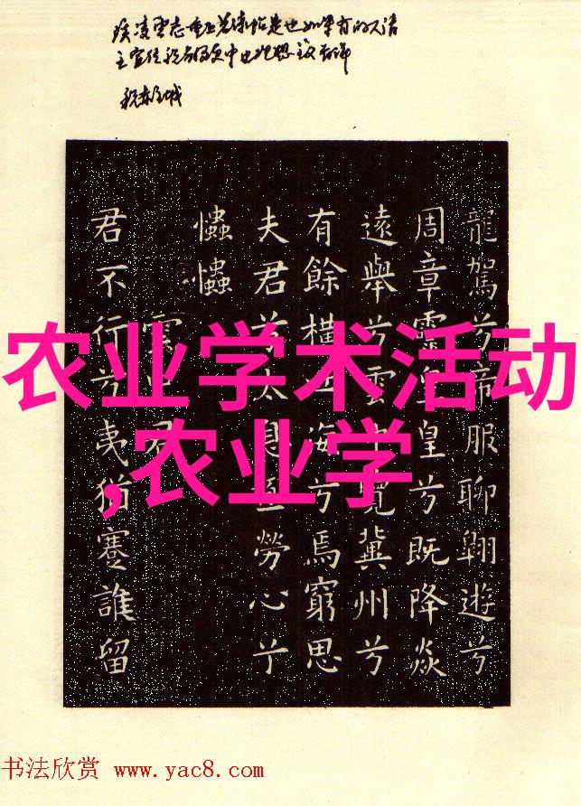 翠绿园中金线莲的秘密花开
