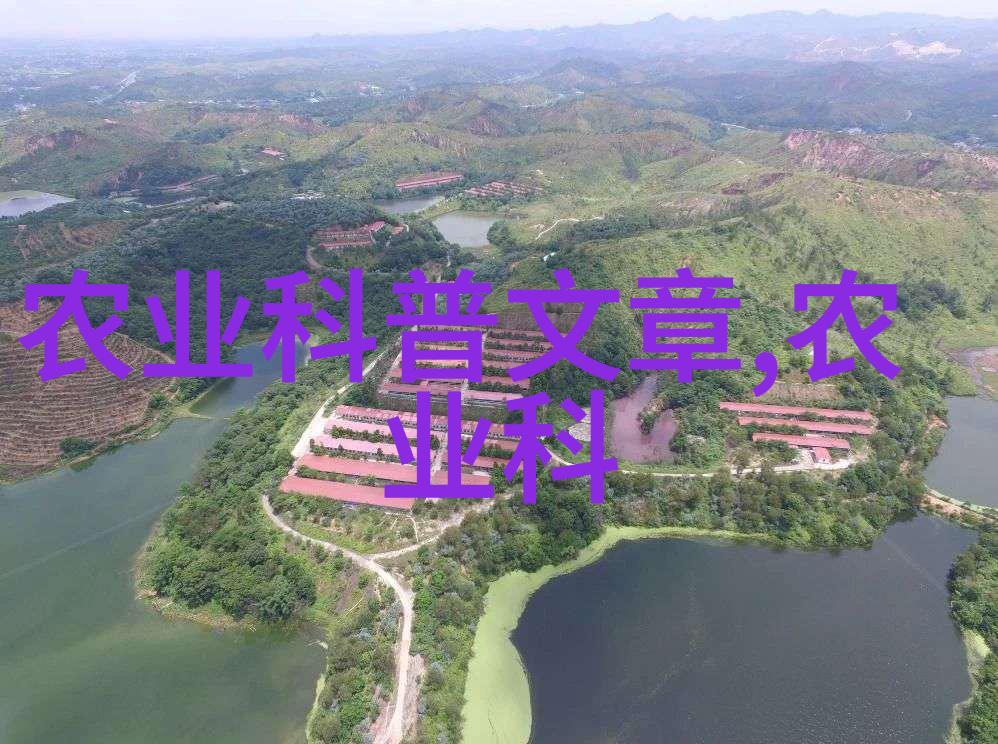蔬菜百科解密这片土地上最美味的绿意盎然之谜