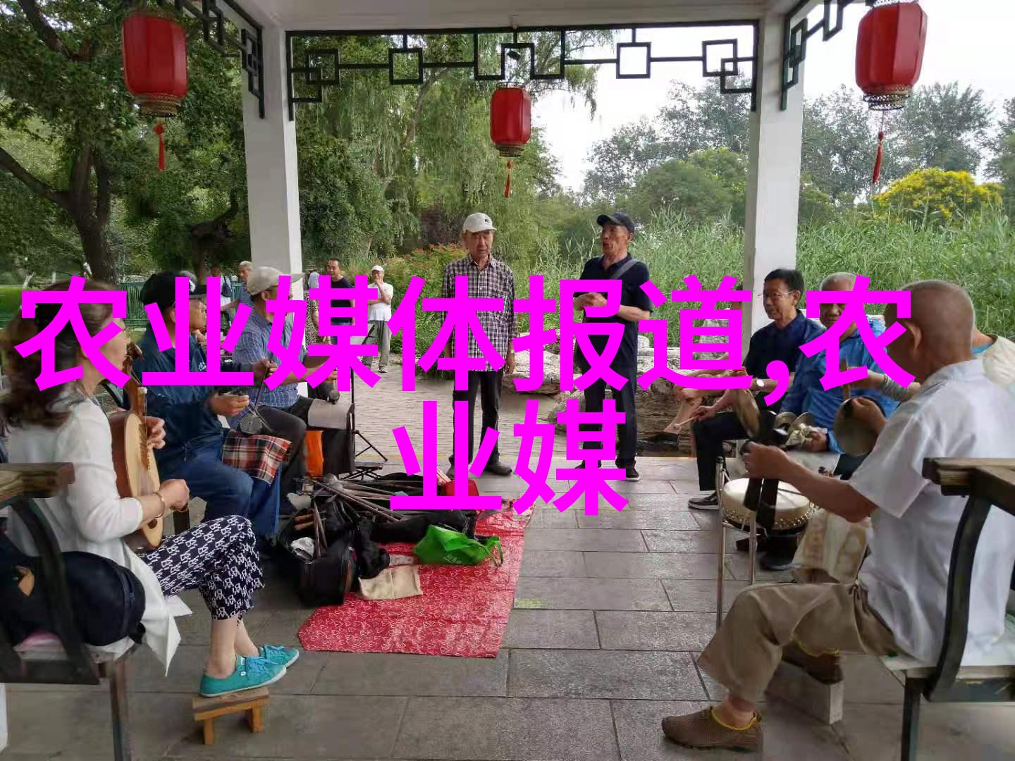 桑黄种植一亩投资预算桑黄种植成本估算