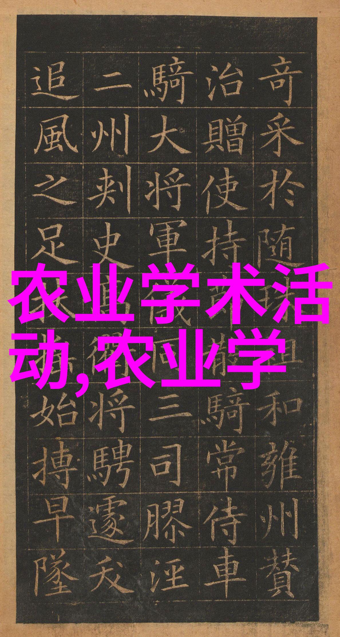鸽子养殖技术我是怎么学到的那些让鸽子飞得更高的秘诀