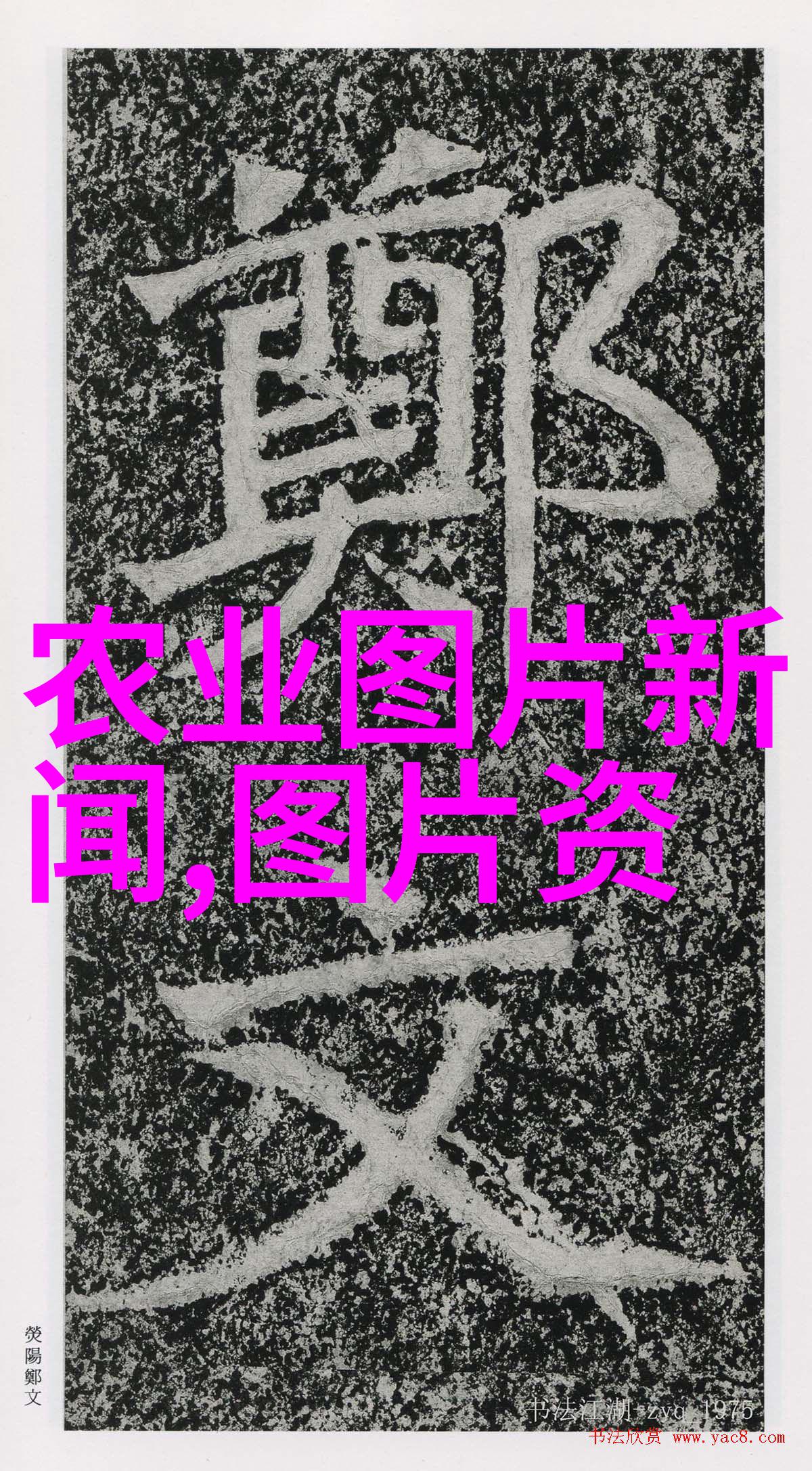 我来告诉你这10公分山楂树你要不要买