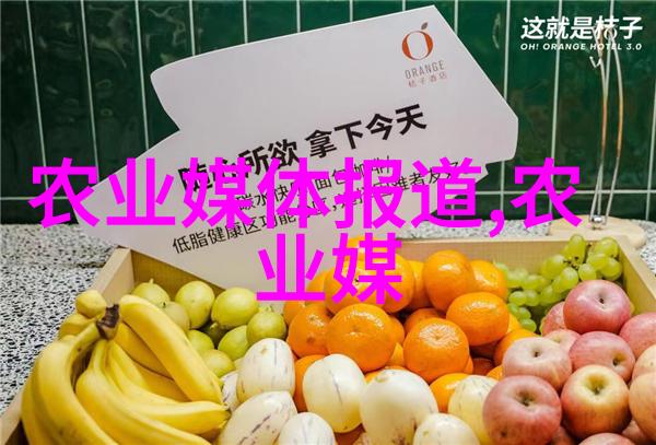 花种子品种探索揭秘不同花卉的特性与应用