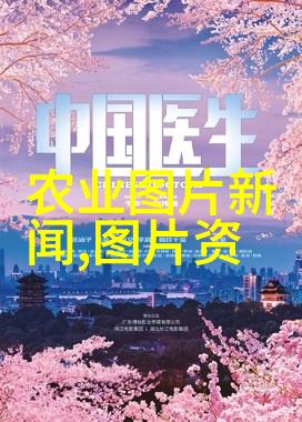 春日绘卷花海中的美丽之选