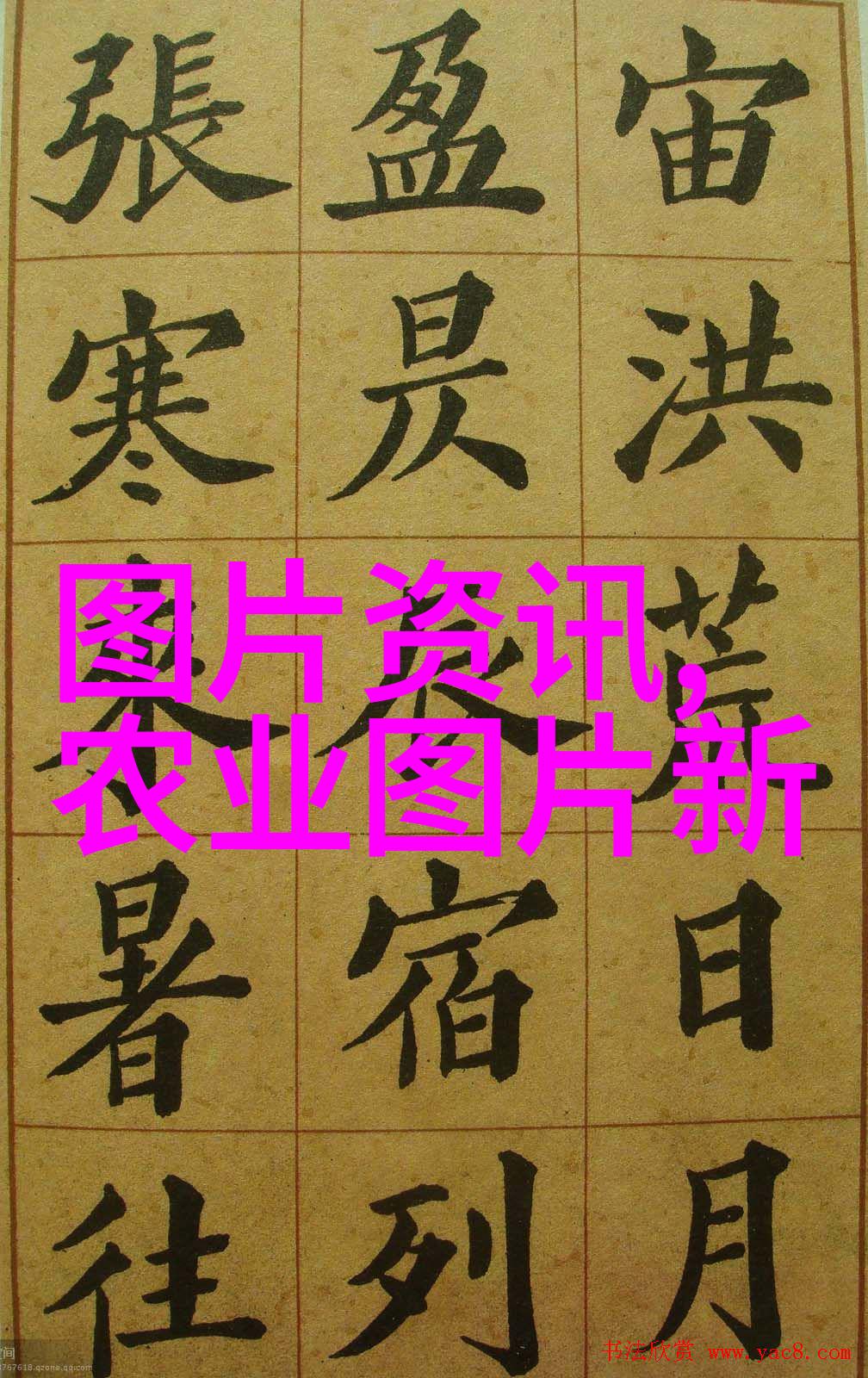 花园之美精彩盆栽花卉造型大图集锦