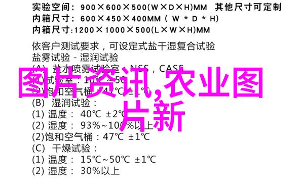养羊必备知识如何科学喂养你的家乡羊的营养需求与饲料选择