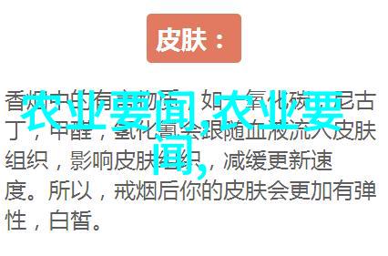 绿意盎然的室内世界百花齐放的大盆栽艺术