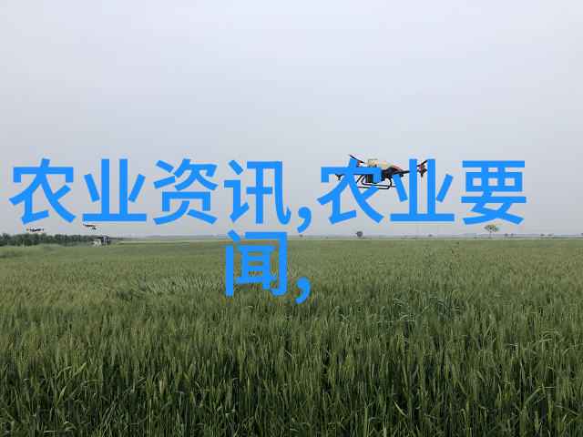黄鳝养殖技术视频我是如何通过这段视频学会养黄鳝的
