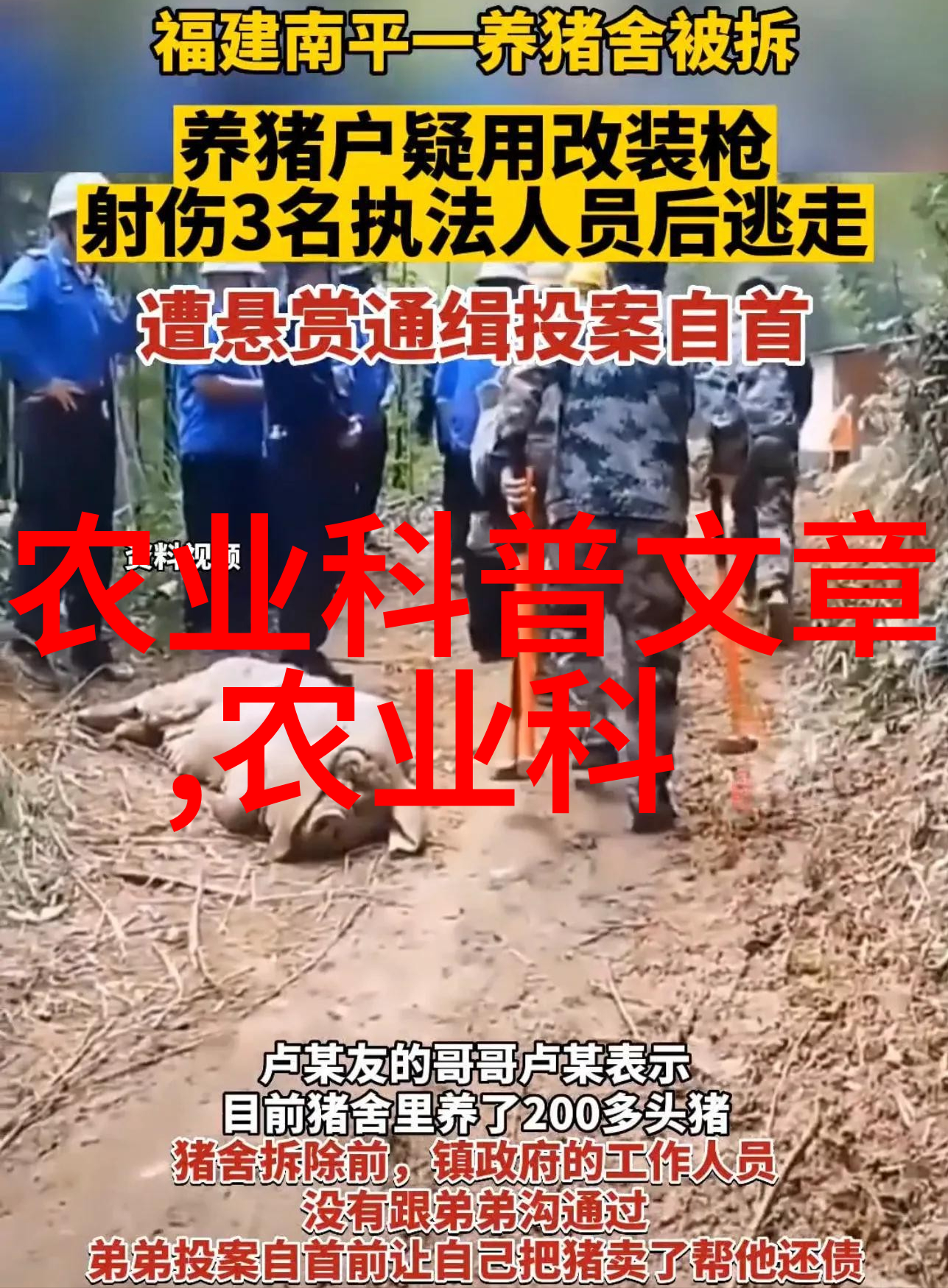 未来农业革命揭秘领先世界的高科技养殖模式