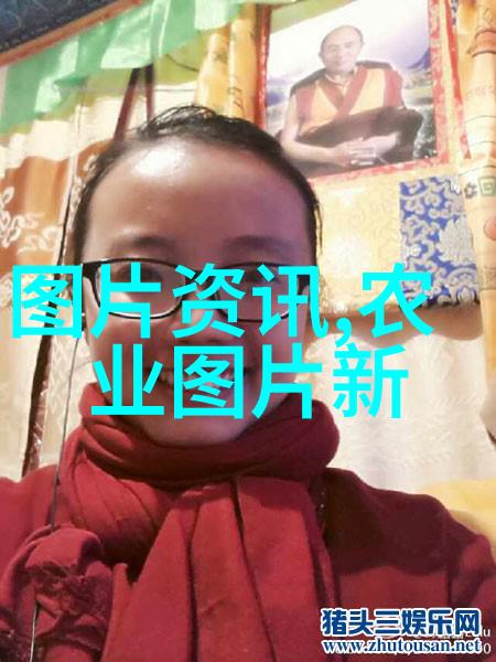 中药材经济-岁月丰收探秘一年有收益的中药材
