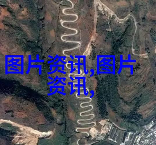 从零到英雄初学者的蔬菜和水果自家养殖指南