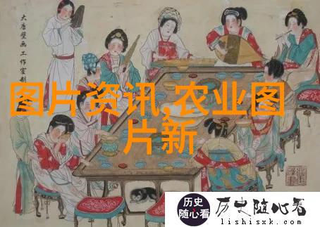 评估公司对树木价格评估标准我是如何给树林定价的从一家公司的视角