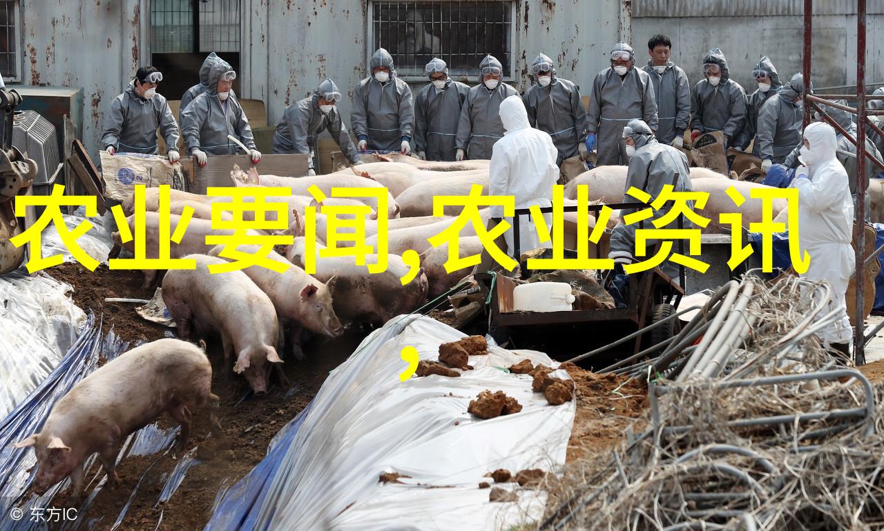 蔬菜加工包装
