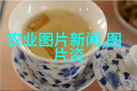 茶韵悠扬揭秘茶文化的科普之旅