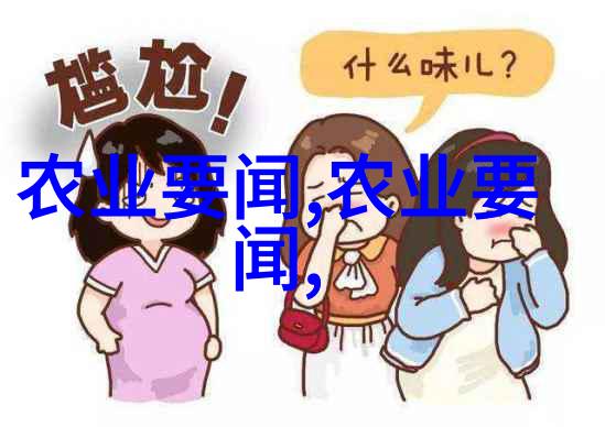 茶香悠扬沉浸于茶文化的宁静世界茶艺茶道中国传统文化