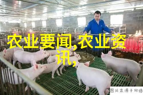 一万次心动爱的无声旋律