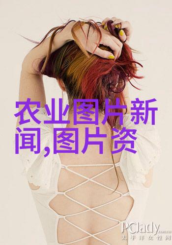 从哪个神秘的山脉中茶叶的故事悄然展开