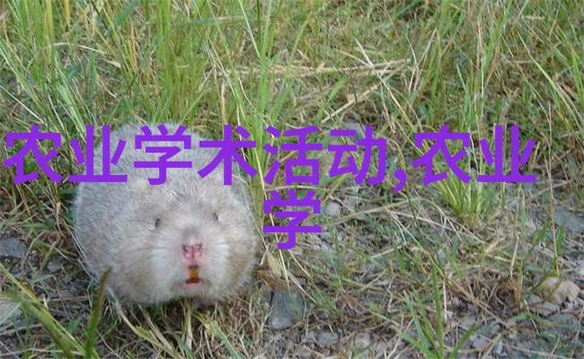 品味茶韵探秘喝茶知识的艺术与魅力