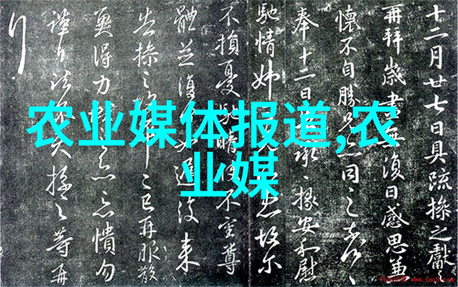 室内种植我是如何在小天地里培育出一片绿意盎然的奇迹