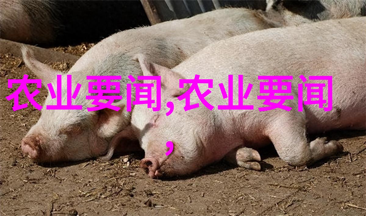 儿女传奇之抢来的新娘我的家庭风云变幻史
