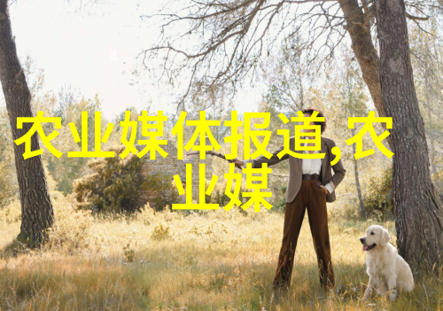 民法典编纂之旅整合民法通则物权法继承法等法律要素
