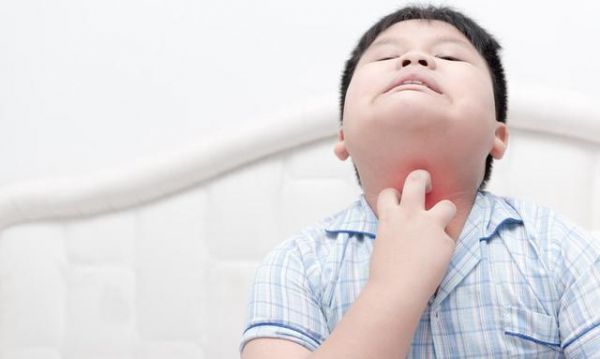 寻找那粒能治愈一切病痛的种子药材种子的秘密之旅