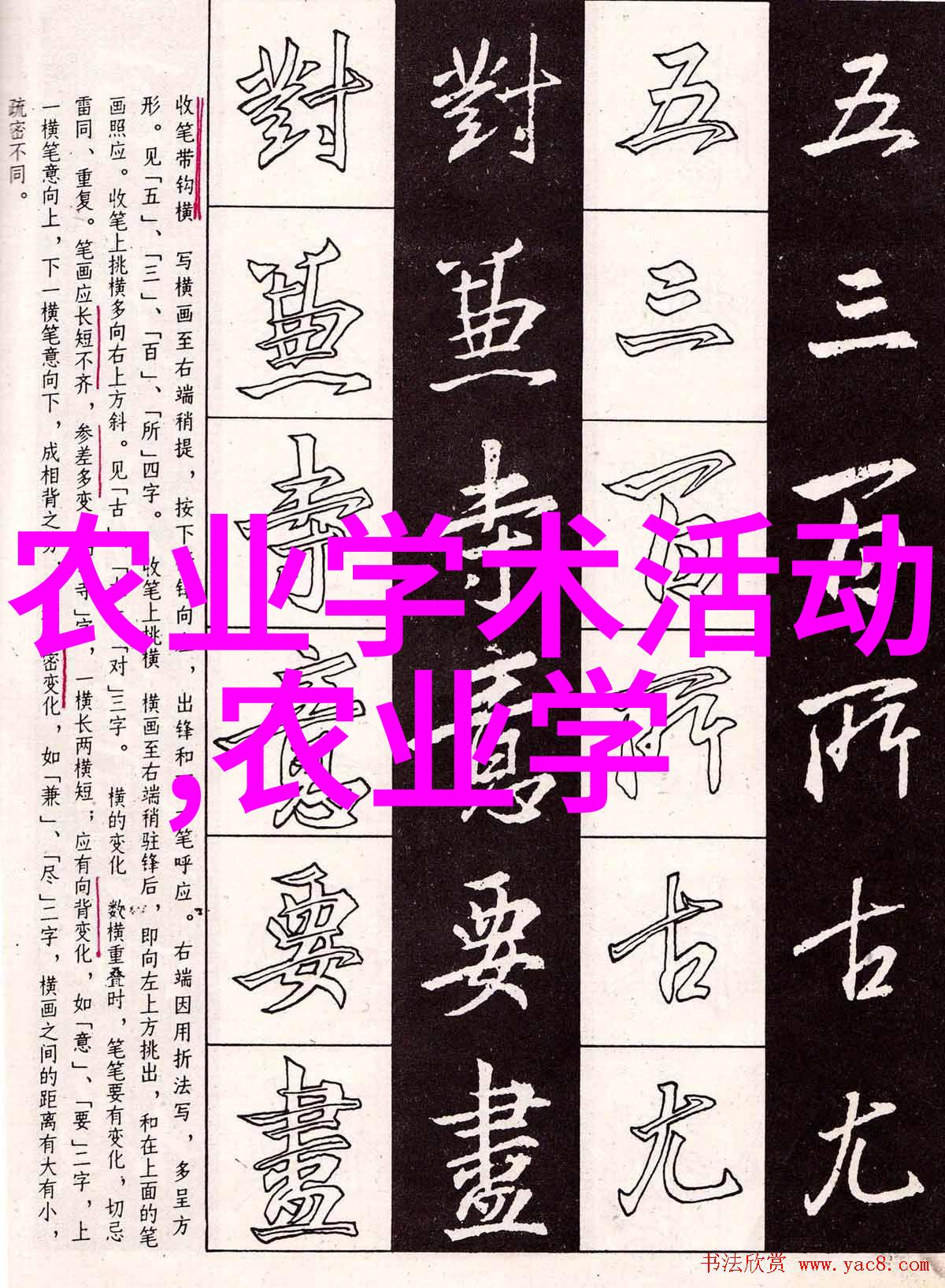 新型农业项目未来耕作的智慧革命