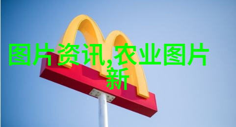 花卉养殖技术精髓从种子到繁盛的艺术与科学