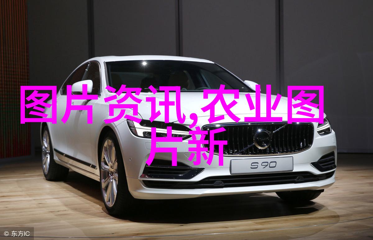 河南药材种植基地在哪探索中原之乡的草本宝藏