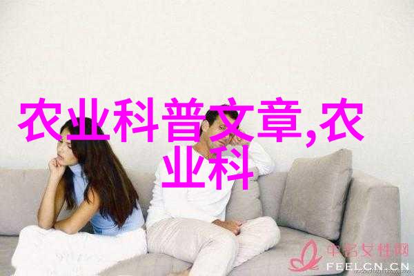 机械设备包装技术高效环保的设备包装解决方案