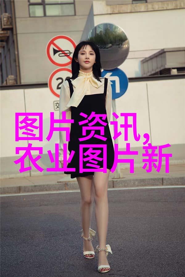 牧场之谜猪牛羊的金钱密碼