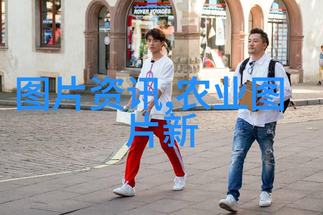 农村种植什么收入最快我来告诉你这块地里种啥能赚钱快