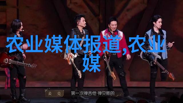 家庭小户型如何搭建高效的大棚蔬菜养殖系统