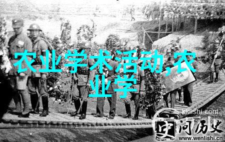 三农种植致富技术视频大葱在生长后期如同一位疲惫的艺人需要喷施叶面肥如同给予它最后的精彩表演以激发其剩
