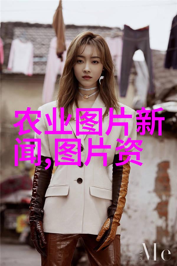 蛙声花园石蛙养殖的艺术与智慧