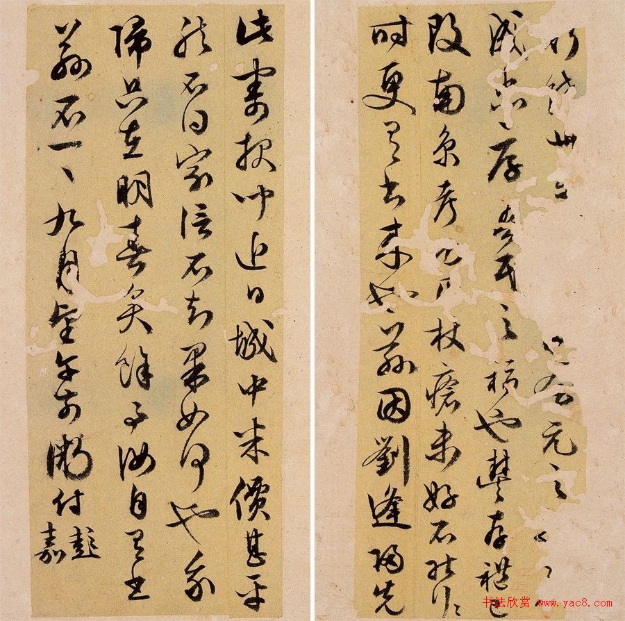 水利设施在羊舍大棚中的重要性及其配置方法