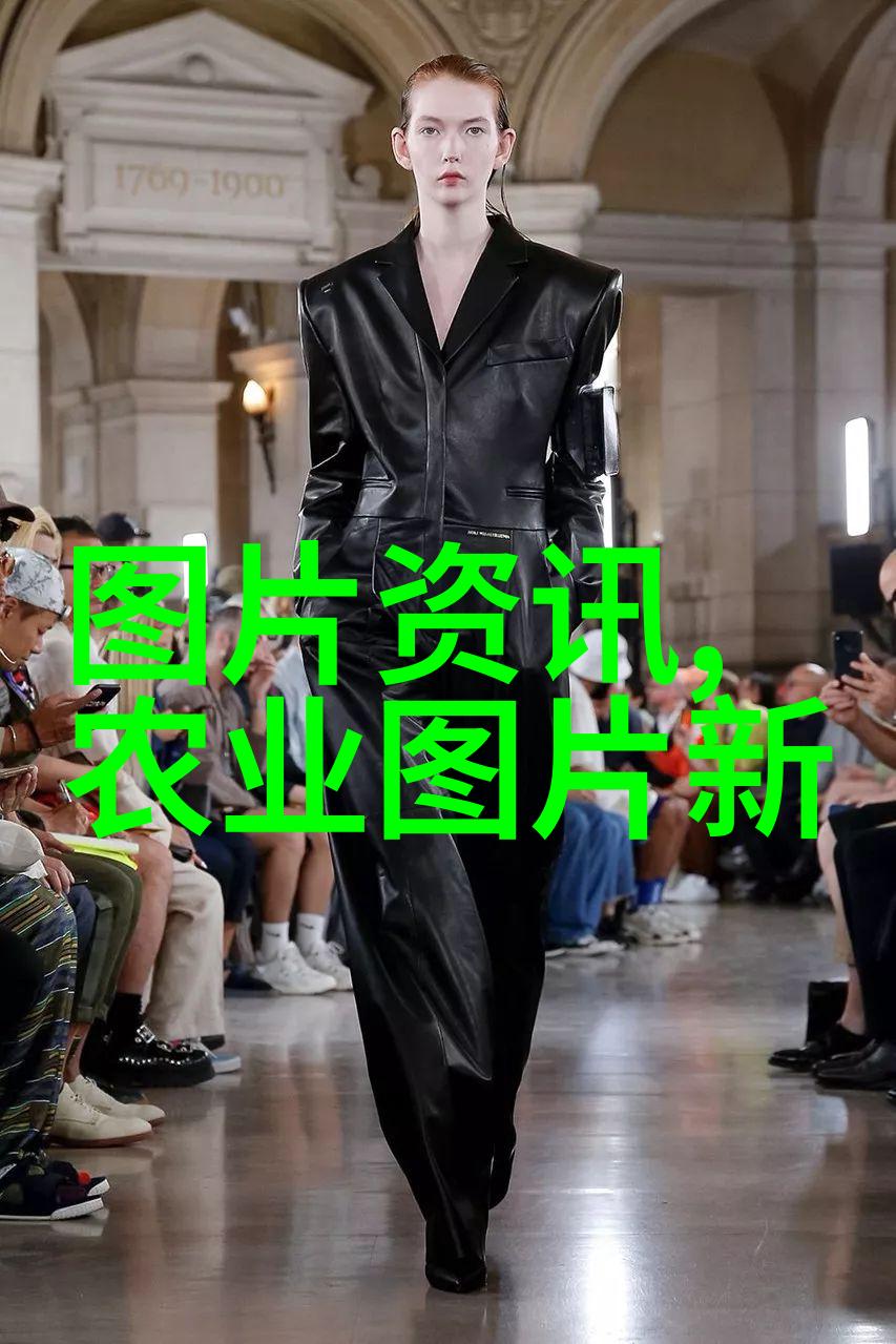 种植金线莲真的赚钱吗我是如何尝试种金线莲的真相大白