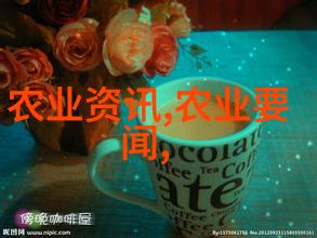 土壤的记忆沉淀与再生