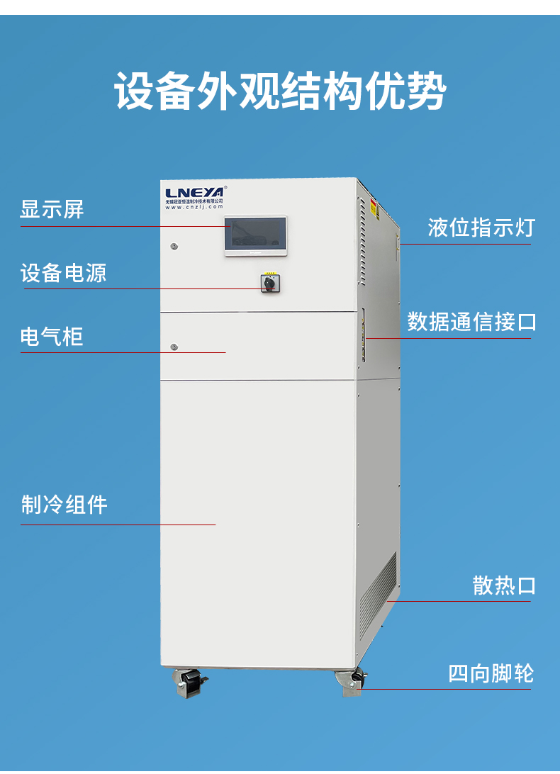 水果种子探秘了解水果种子的功能和重要性