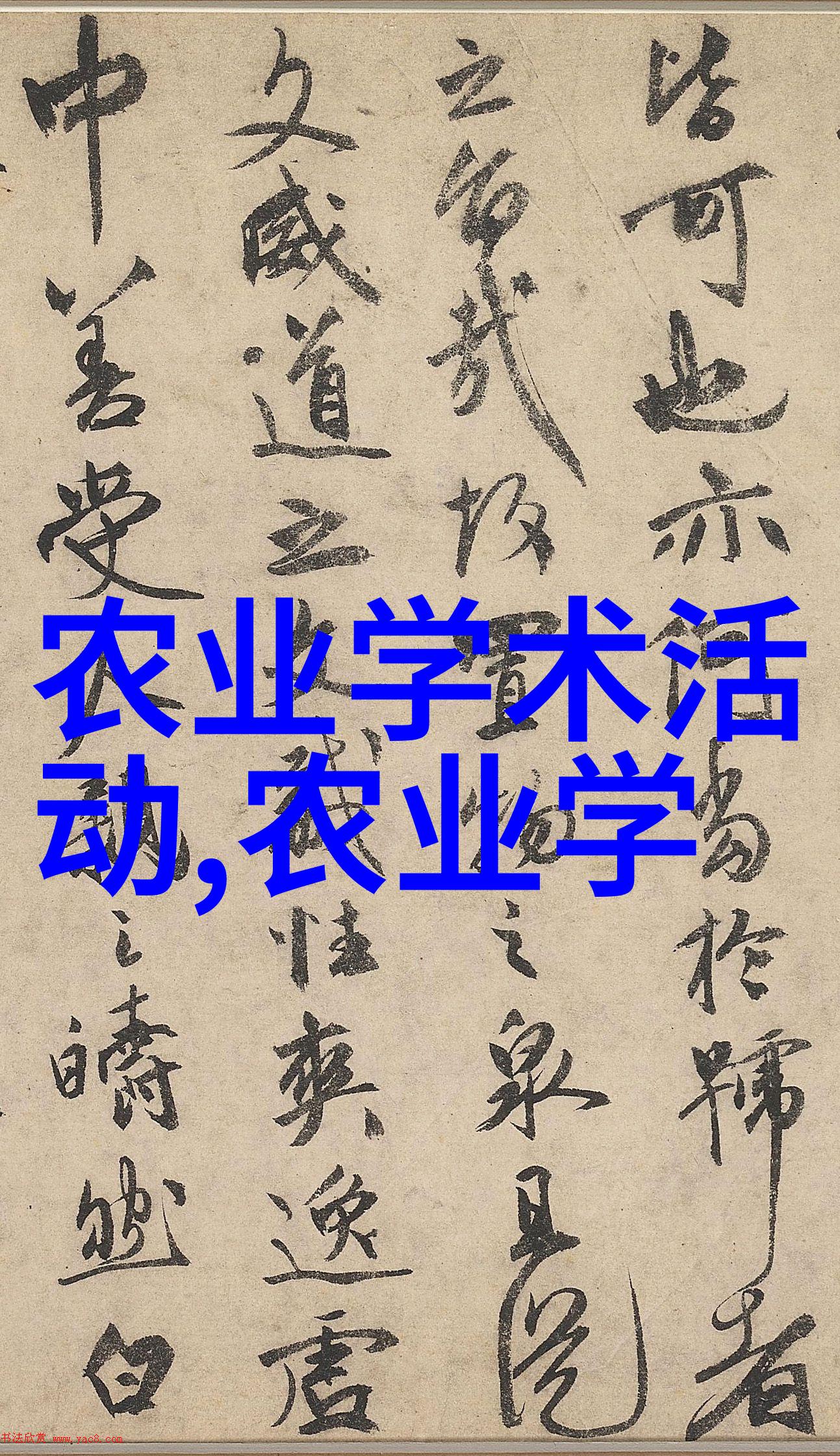 皮带输送机工业生产中的效率之选