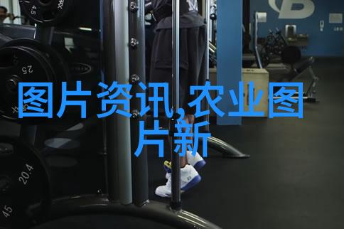 浏阳柏加镇苗木批发市场专业苗木种植与销售平台