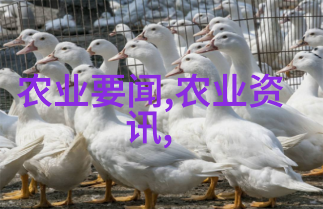 水果种子图片搜集各种水果的美味种子