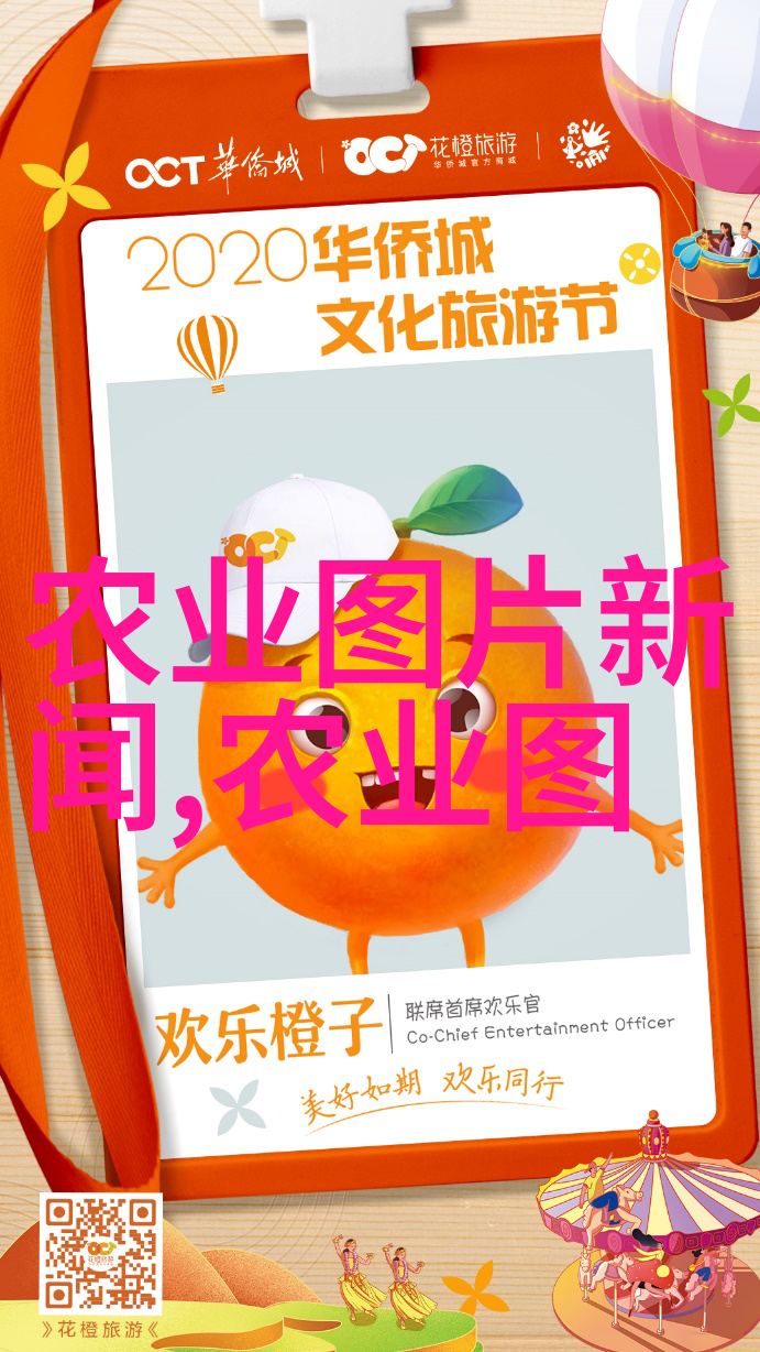 欧洲菊苣品味田园的缤纷色彩与香气
