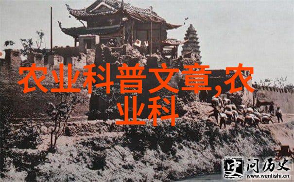 碧绿之城蔬菜超市的诗意篇章