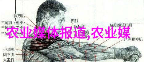绿色金路深度解析2023年的十大暴利草本植物市场前景与趋势