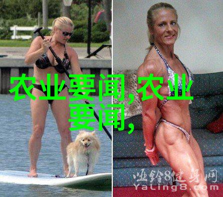 黄姜种植艺术中药材栽培技巧与实用指导